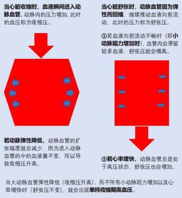 什么叫舒张压什么叫收缩压girl图看看视频 什么叫舒张压