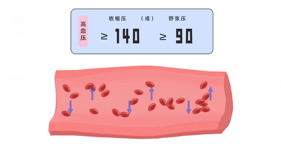 什么叫舒张压什么叫收缩压girl图看看视频 什么叫舒张压