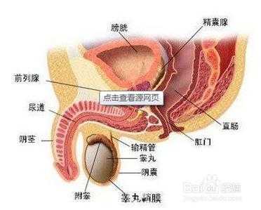 睾丸痛是什么原因