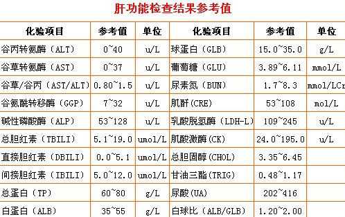  肝炎全套检查包括什么「肝炎全套检查包括什么项目」