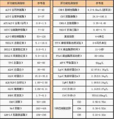  肝炎全套检查包括什么「肝炎全套检查包括什么项目」