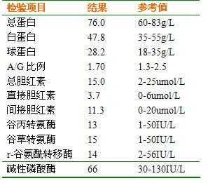  肝炎全套检查包括什么「肝炎全套检查包括什么项目」