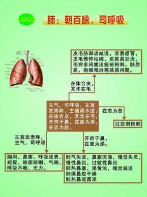 何谓肺朝百脉 肺朝百脉是什么意思