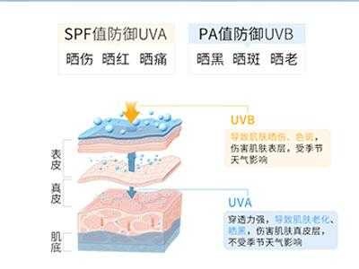 spfs是什么意思啊-spfpa是什么意思