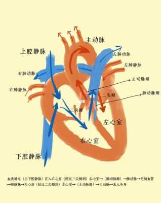 肺动脉含什么血