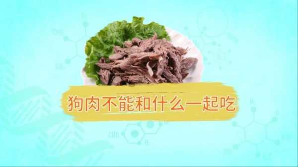 狗肉不能和什么食物一起吃香哈手机版