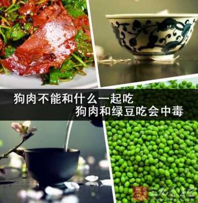 狗肉不能和什么食物一起吃香哈手机版