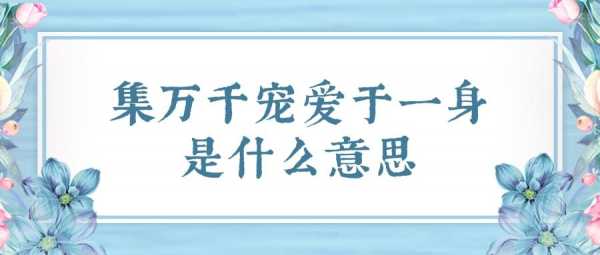 集齐于一身什么意思