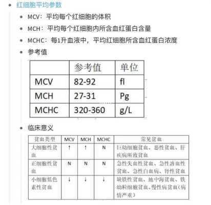 平均红细胞体积是什么意思呢