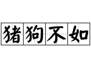  猪狗不如是什么意思「猪狗不知打一正确生肖」