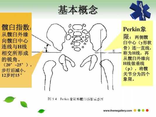 双侧髋关节1型什么意思