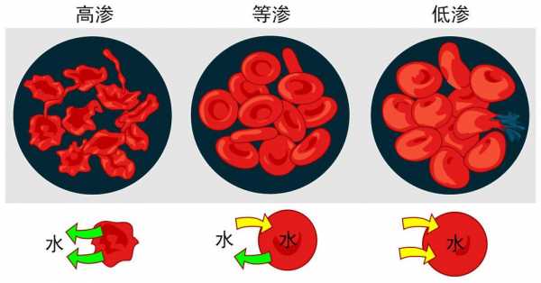 什么是等渗溶液等张溶液?-什么是等渗溶液