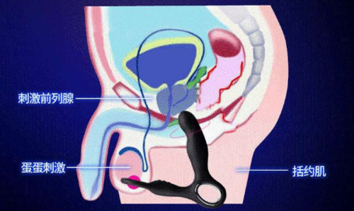 前列腺炎按摩什么部位（前列腺炎按摩什么部位有效）