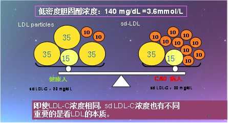 低密度脂蛋白胆固醇是什么检查项目-低密度脂蛋白胆固醇是什么