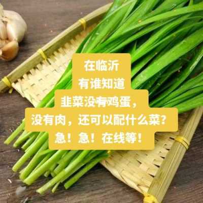 什么菜相克_菲菜和什么菜相克