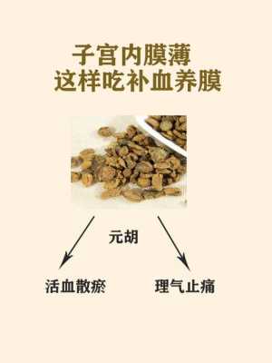  子宫内膜薄吃什么「子宫内膜薄吃什么药增厚效果好」