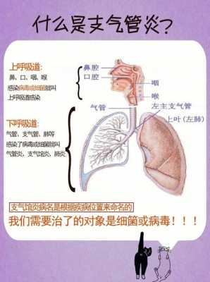 支气管炎什么引起的（支气管炎是怎么引起的）