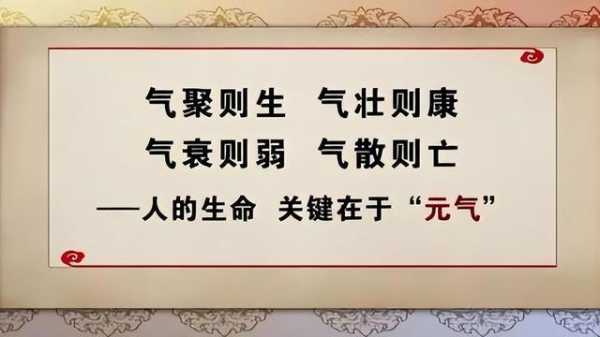  什么补元气「什么补元气最好」