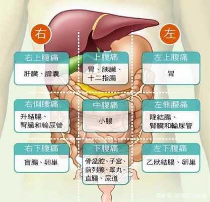 左上腹部疼痛是什么原因（左上腹部疼痛什么原因引起的）