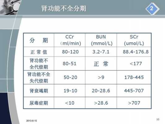 什么叫肾功能不全