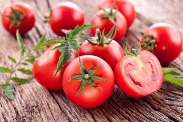 什么西红柿不能吃,打脑筋急转弯 什么西红柿不能吃