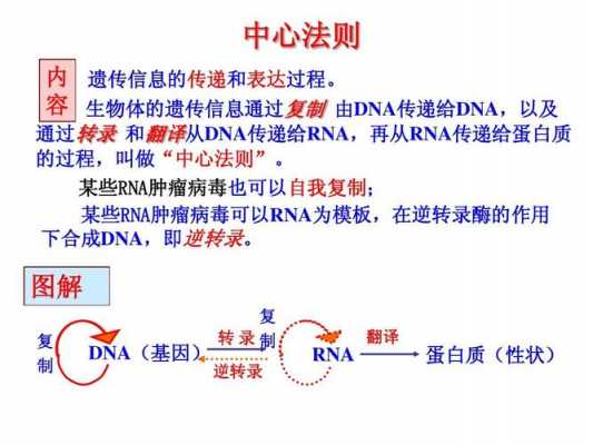 什么是中心法则,什么是中心法则,有何意义 