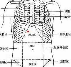 右胸部下方是什么部位,右胸部下方是什么部位疼 