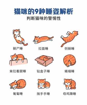 猫为什么总睡觉（猫咪为何总是睡觉）