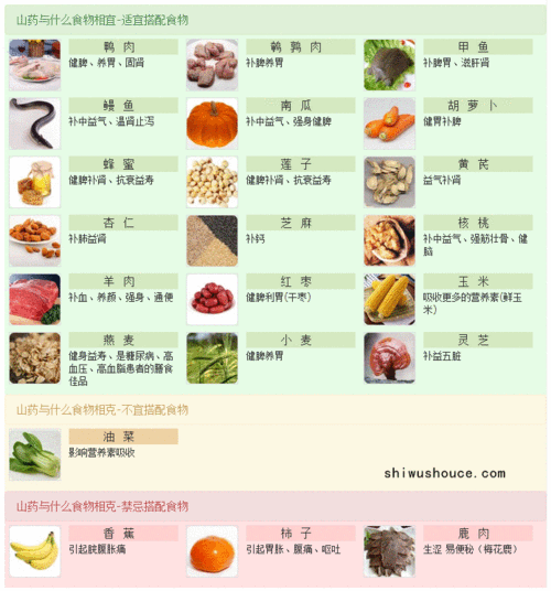 铁棍山药不能和什么一起吃_铁棍山药与什么食物相克