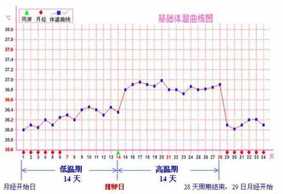 排卵期什么时候测体温_测排卵期体温什么时候测