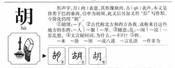  胡的意思是什么「胡的意思是什么意思」