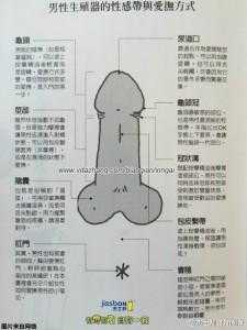 关于阴茎出水是什么原因的信息