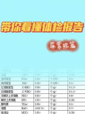 尿酸碱度偏低是怎么回事-尿酸碱度8.0是什么意思