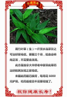 人的尿液对植物有什么作用-植物有什么作用