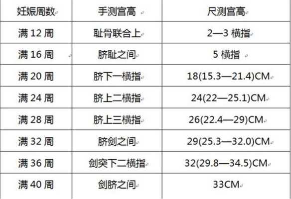 宫底高度指的是什么