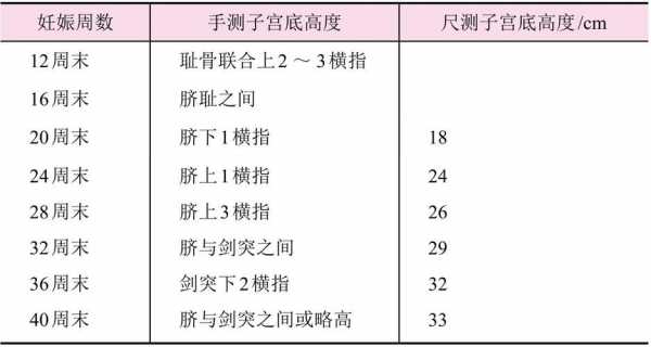 宫底高度指的是什么