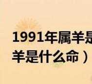 九一年属羊的是什么命,1991属羊一生三大劫难 