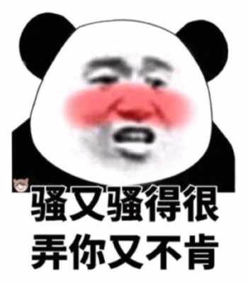 什么叫骚