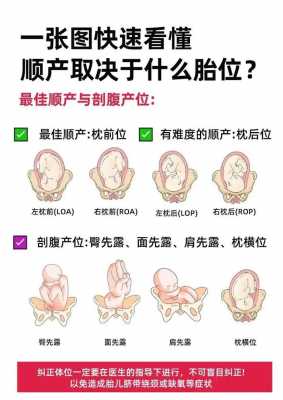 胎儿正常胎位是什么位 正常胎位是什么位