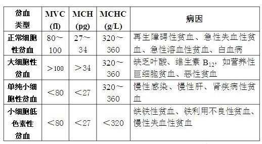 mchc是什么意思