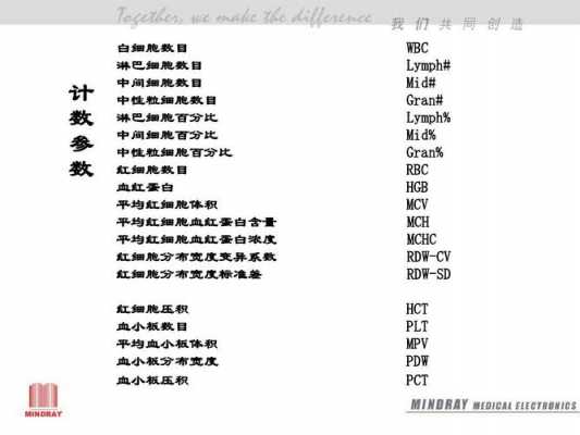 mchc是什么意思